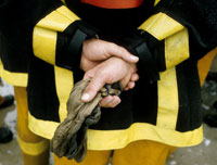 Key Position Holders